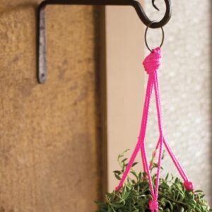 Box of 4 — Hand-Forged Iron Plant Hook