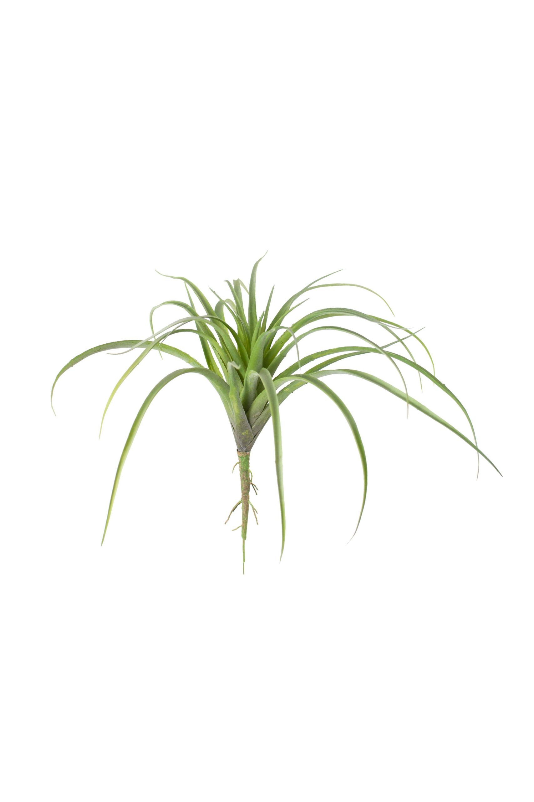 Large Artificial Air Plant, Green
