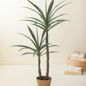 Artificial Heneken Plant With Faux Terracotta Pot, Green