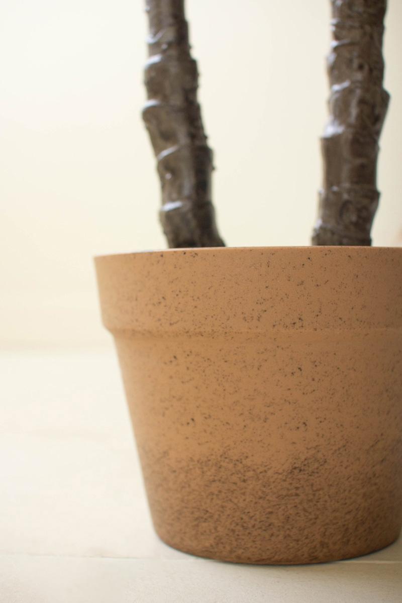Artificial Heneken Plant With Faux Terracotta Pot, Green