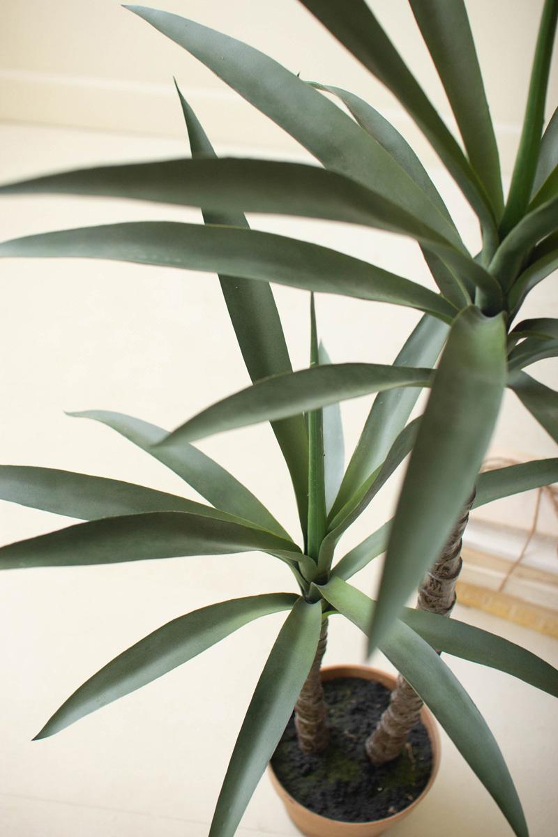 Artificial Heneken Plant With Faux Terracotta Pot, Green