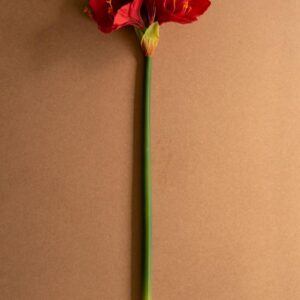 Artificial Amaryllis Stem, Red