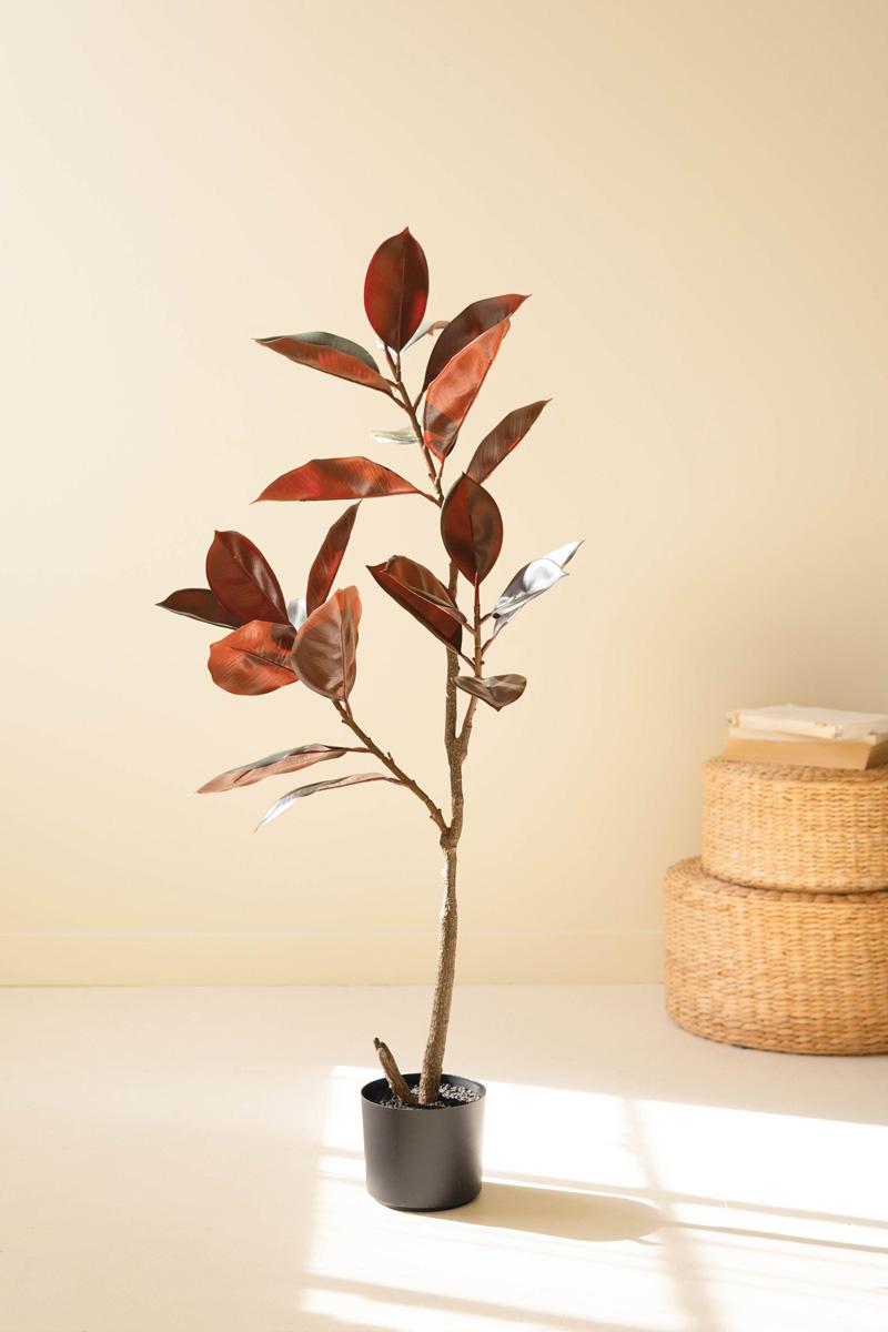 Artificial Rubber Tree With Black Plastic Pot