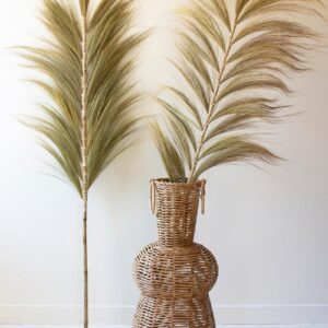 Decorative Fan Palms With Bamboo Stems