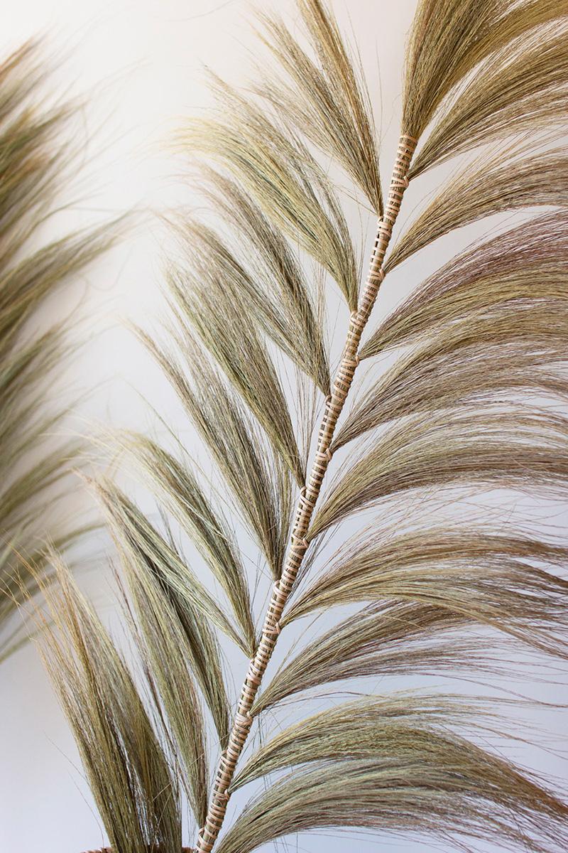 Decorative Fan Palms With Bamboo Stems