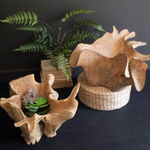Teakwood, Hand-Carved Blooming Teak Root Bowl