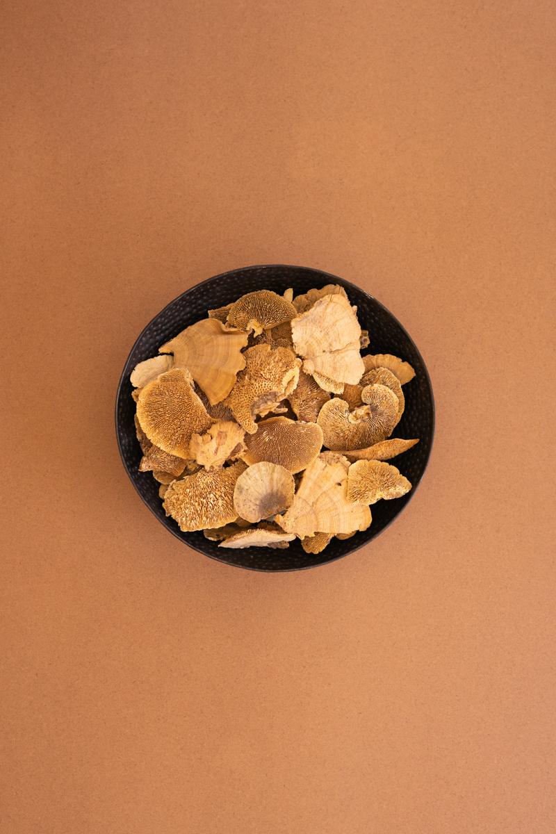 Bag Of 48 Dried Sponge Mushrooms