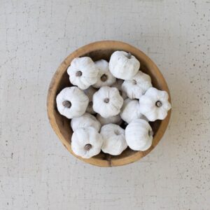 Bag Of Fifteen Dried Miniature Faux Pumpkins – White