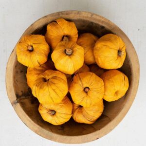 Bag Of Fifteen Dried Miniature Faux Pumpkins – Orange