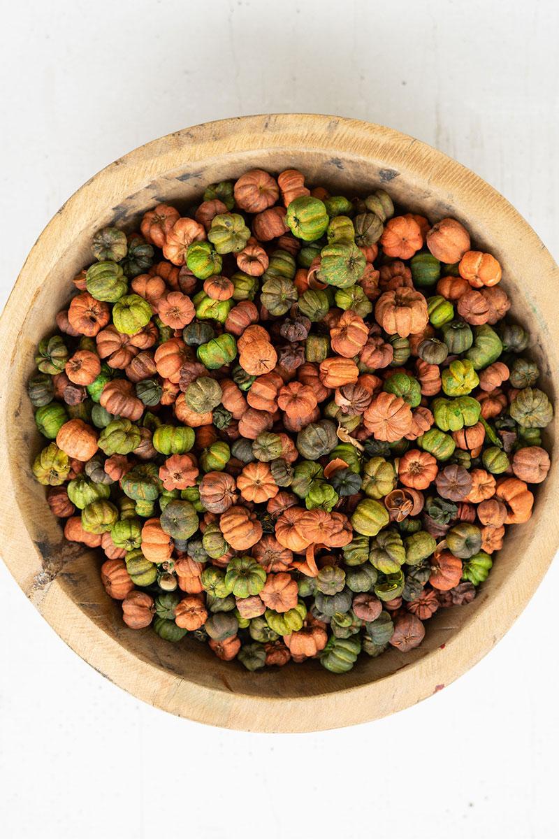 Bag Of Orange And Green Putka Pods – 12 Oz.